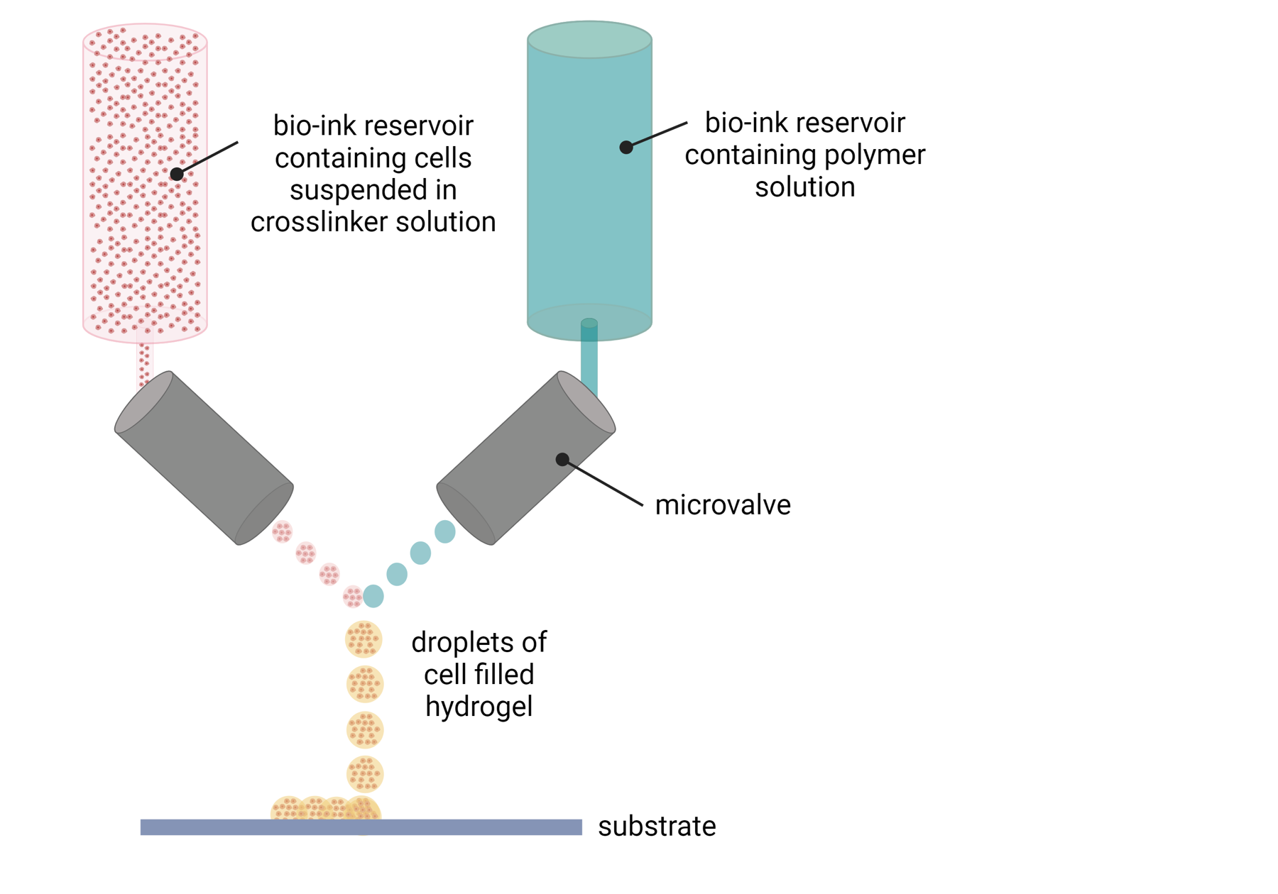 Diagram showing two streams meeting in flight to form cell-filled hydrogel droplets